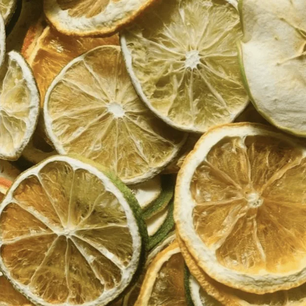 wolf and woman distillery|Bellambi NSW, Australia |We Provide Gin and cocktails